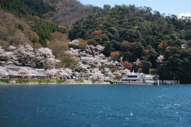 海津大崎の桜開花・満開 天気情報 2025