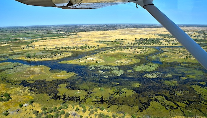 オカバンゴ・デルタ - 世界遺産を学ぶ