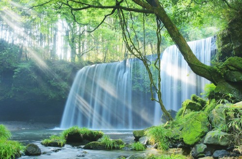 2年ぶりに蘇った人気避暑地！熊本・菊池渓谷周辺のドライブスポット4選ウォーカープラス