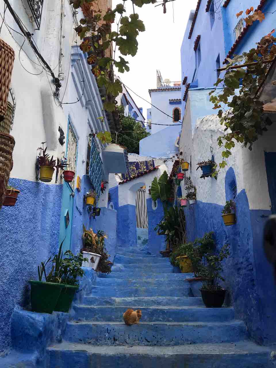 長いようであっという間なモロッコ17日間～ラバト』ラバト モロッコ の旅行記・ブログ by