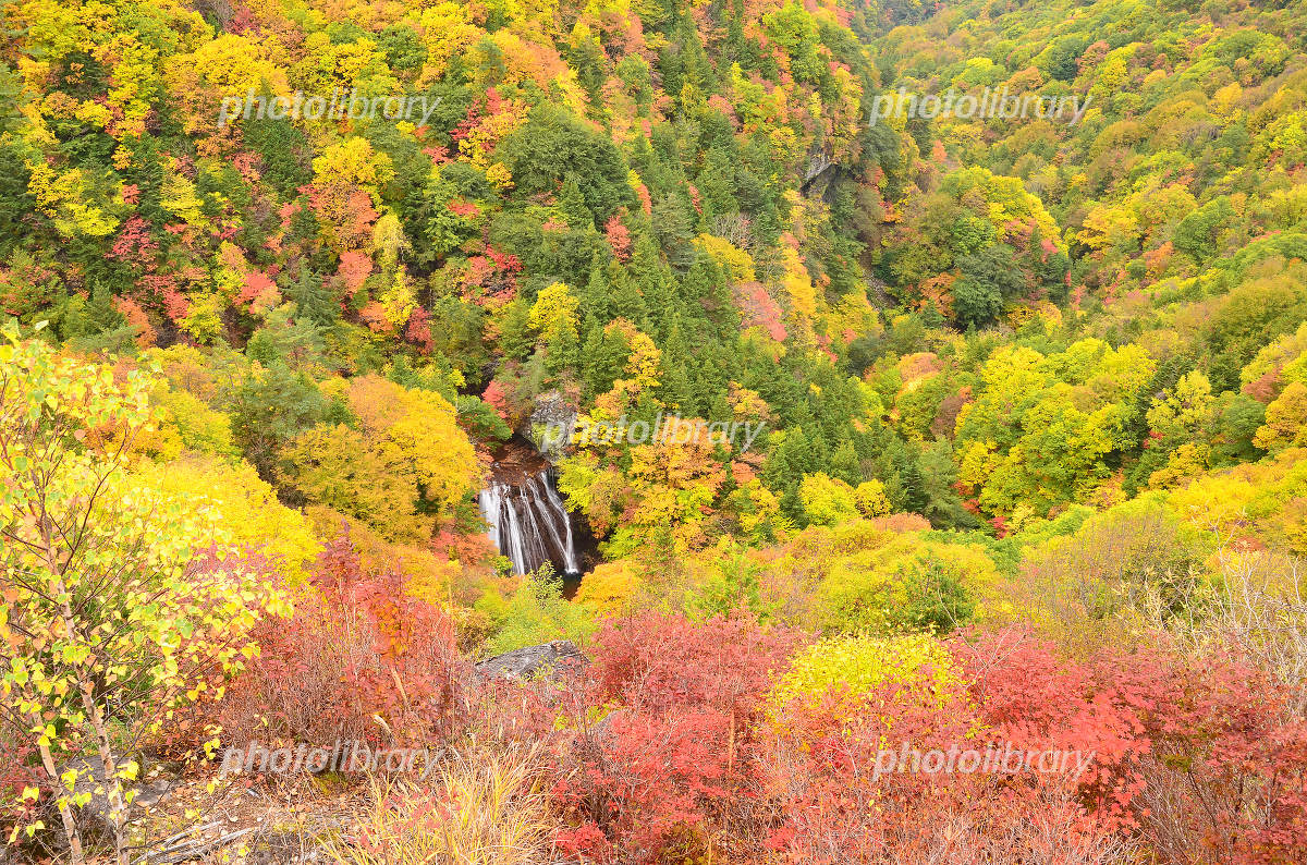 4K映像 絶景ドローン空撮「紅葉の蓼科高原 横谷渓谷」日本の美しい四季