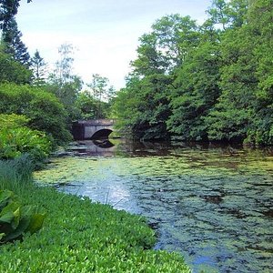 ロンドン南西部の高級住宅街のリッチモンド。』リッチモンド イギリス の旅行記・ブログ by