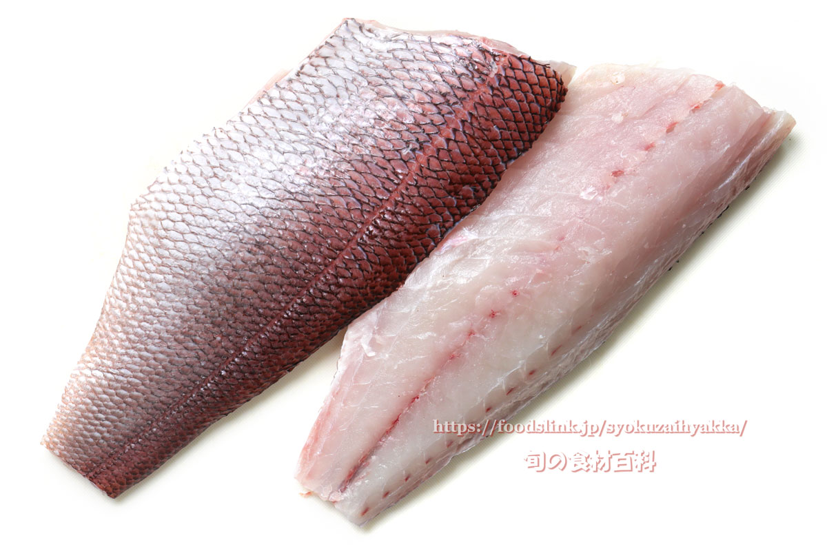 沖縄の魚事情 スーパーだけどね・ばとら の