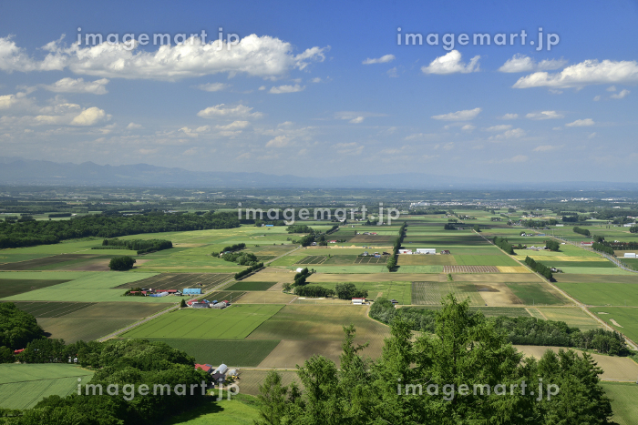 新嵐山スカイパーク展望台より望む十勝平野 26120054601 の写真・イラスト素材アマナイメージズ