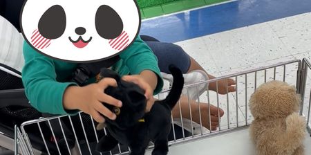 Amazon.co.jp: トイザらス限定 ベイブレード HMS ドラグーンMS