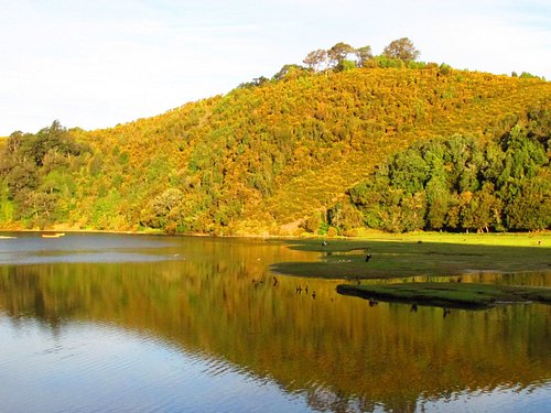 バルディビア観光ガイド～定番人気スポットを参考に自分にピッタリの観光プランを立てよう！エクスペディア
