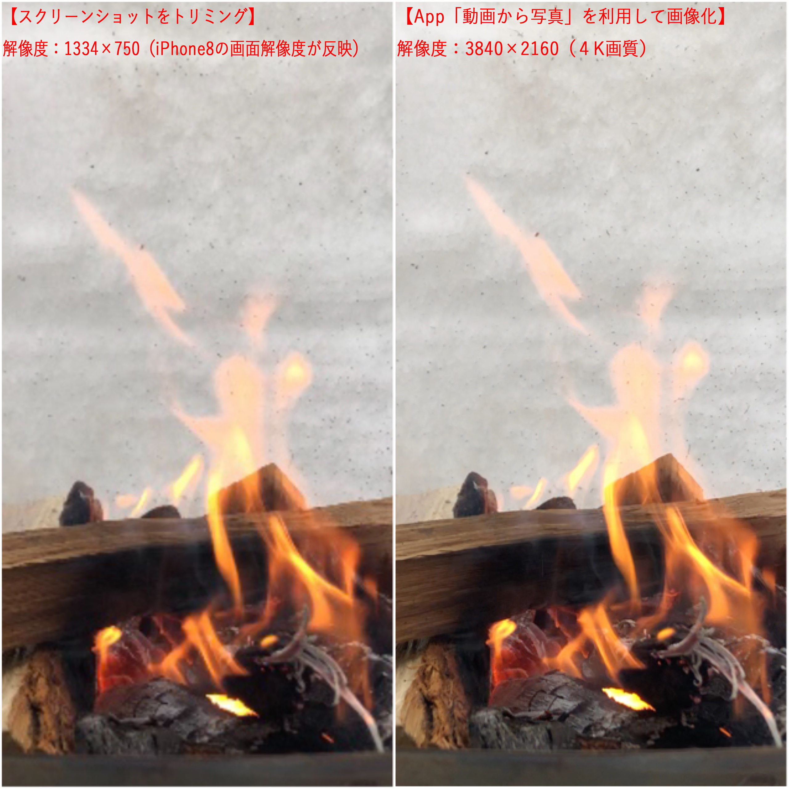 キャンプで見つける