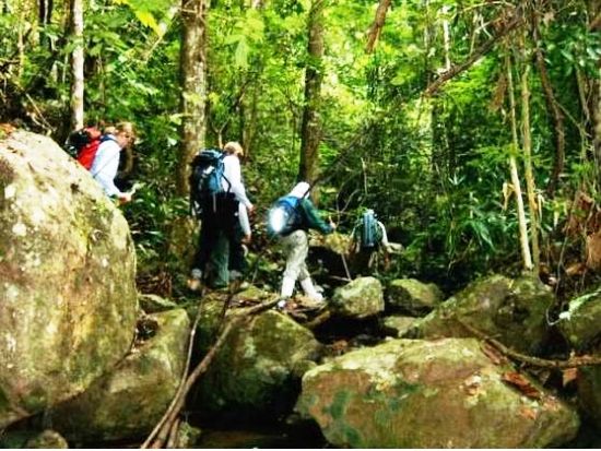 2025年、バンコク発カオヤイ国立公園行きのイチ押し日帰りツアー10選