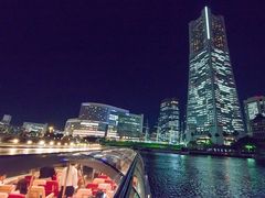 AGRA アグラ菊名 インド料理-