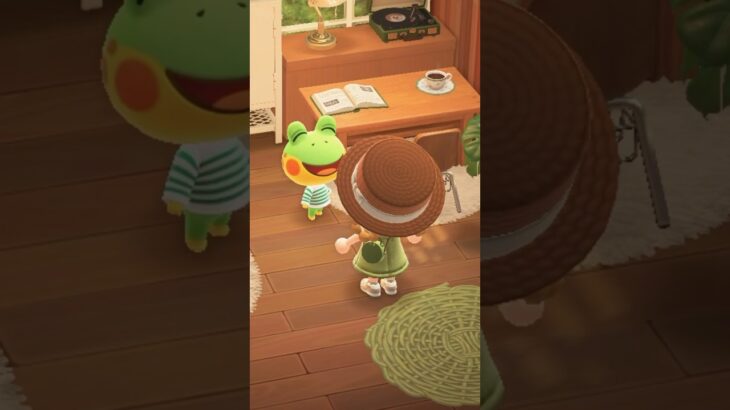 あつ森 自然な川の作り方 あつまれどうぶつの森