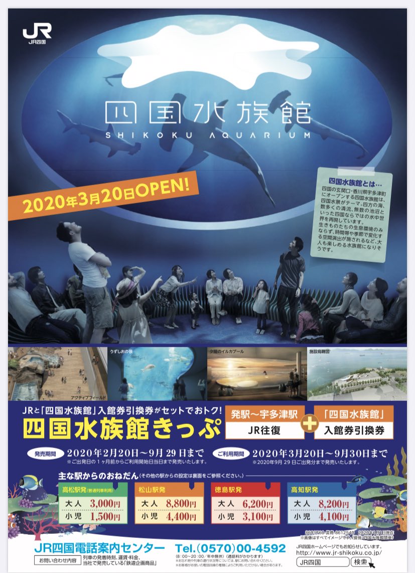 香川県の四国水族館で夜キャンプ体験！ 生きものたちと過ごす特別な宿泊イベント開催いこーよニュース