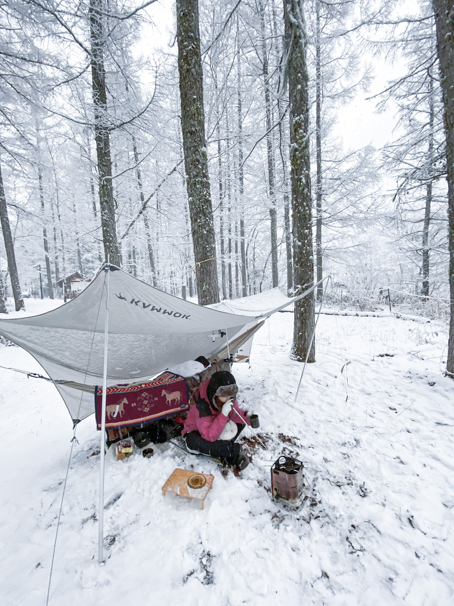 ハンモック一つで外で寝泊まりする ハンモック泊 の魅力と注意点