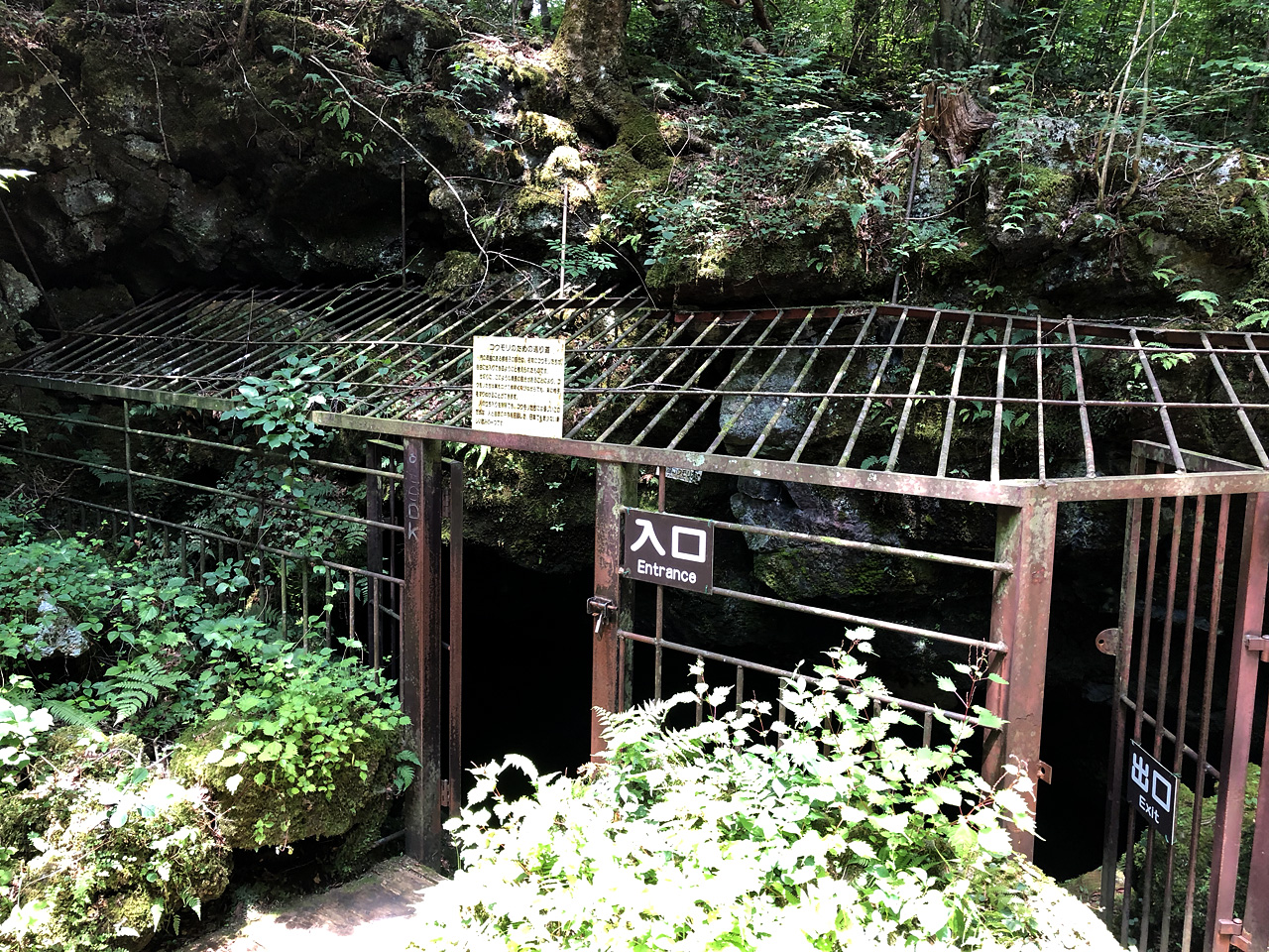西湖コウモリ穴 〜山梨県南都留郡〜子供とお出かけオデッソ