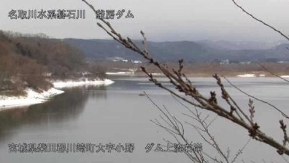 ダムライブ！📷ダムライブカメラ情報📸: 