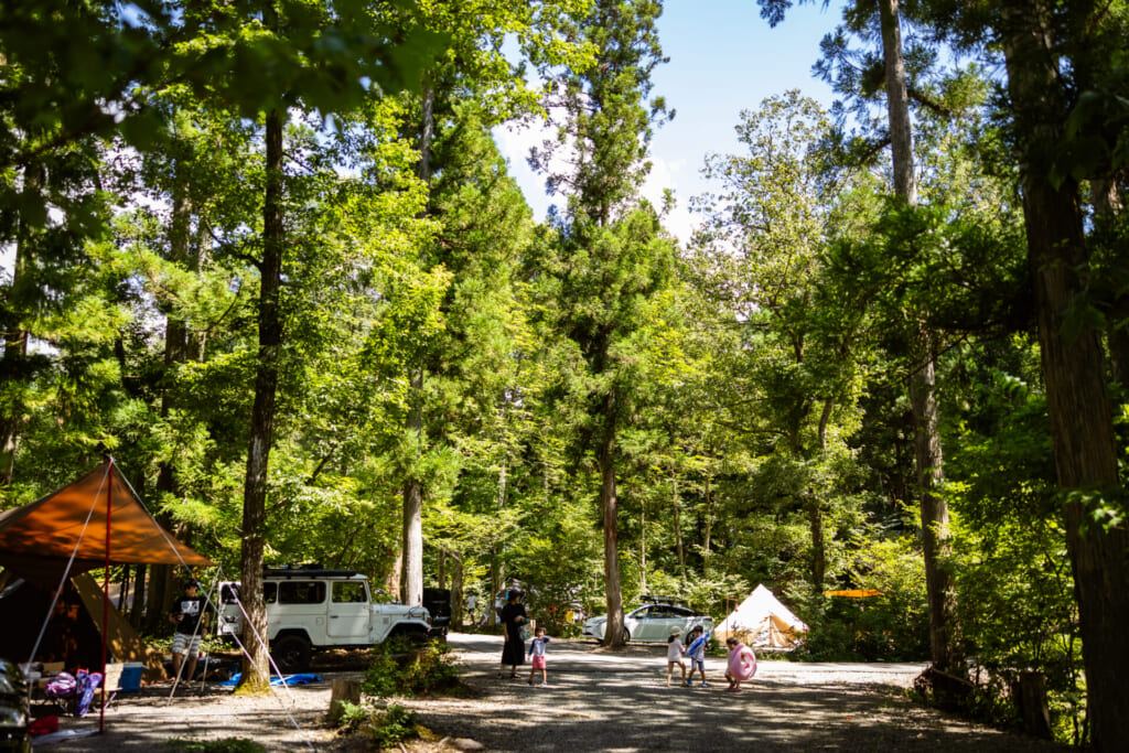 めいほう高原岐阜県- アウトドアガイド SURF&SNOW