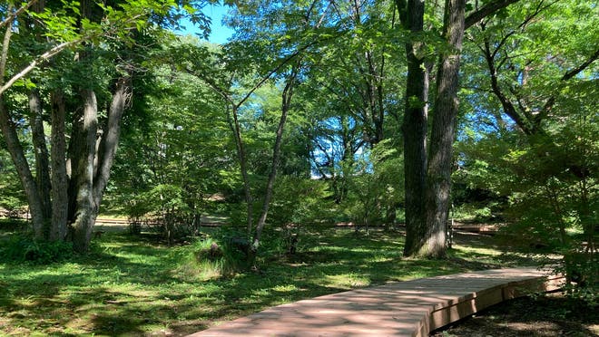 保存版 小淵沢デートならここ！長野在住者おすすめの15スポット 絶景スポット・自然満喫・グルメ・美食のお宿など アニーお祝い体験マガジン