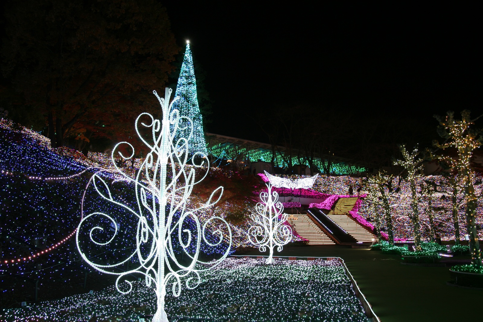 遠くに観覧車が見えます - 所沢市、西武園ゆうえんちの写真
