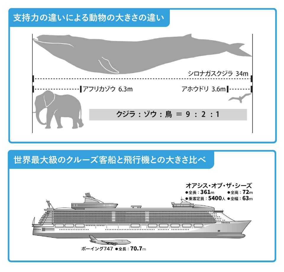 飛行機は本当に「安全」なの？ 現役パイロットに聞いてきた：仕事をしたら“安全”に飛べた 1 7