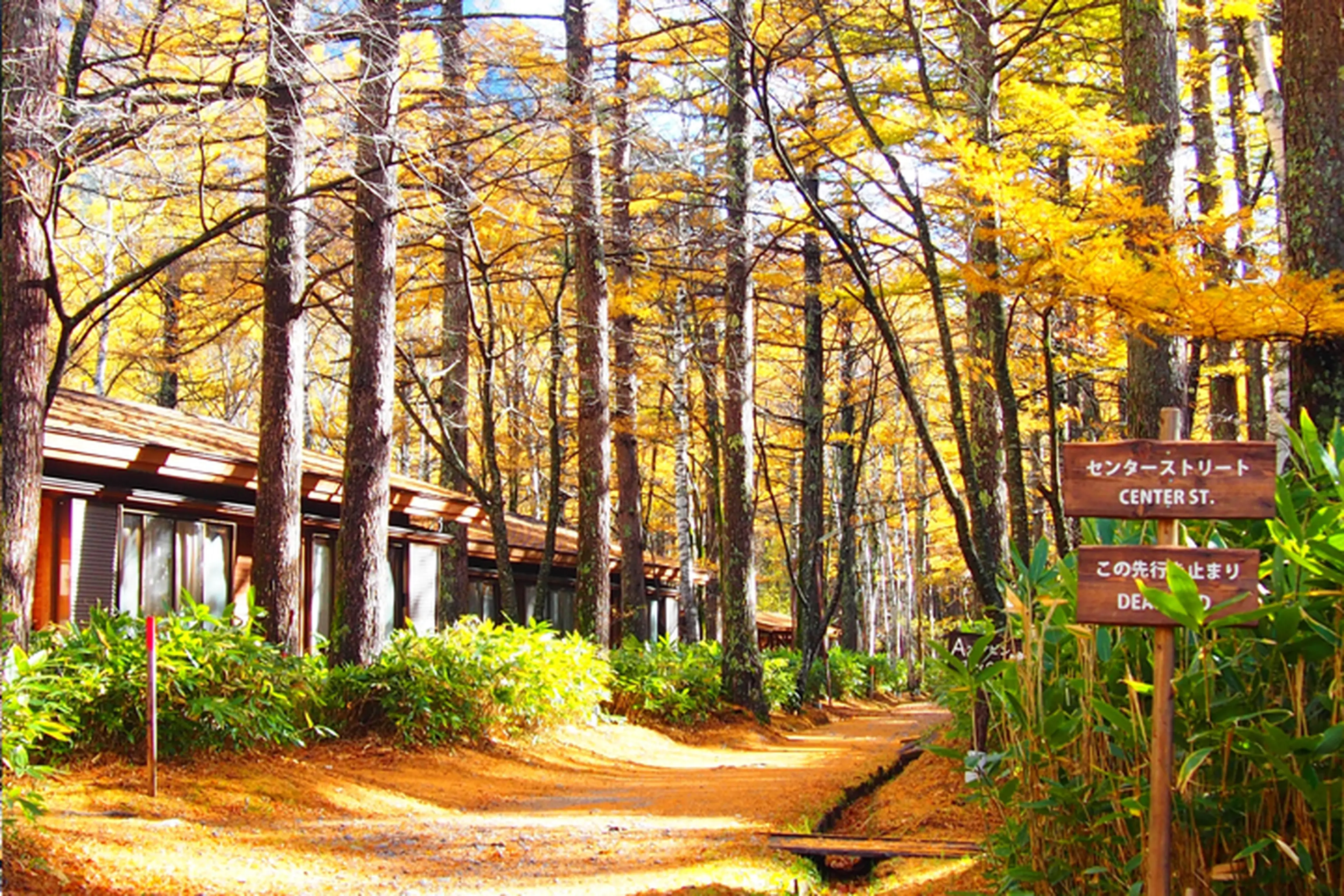 山岳景勝地「上高地」にある3つのキャンプ場の魅力を解説！キャンプ・アウトドア情報メディアhinata