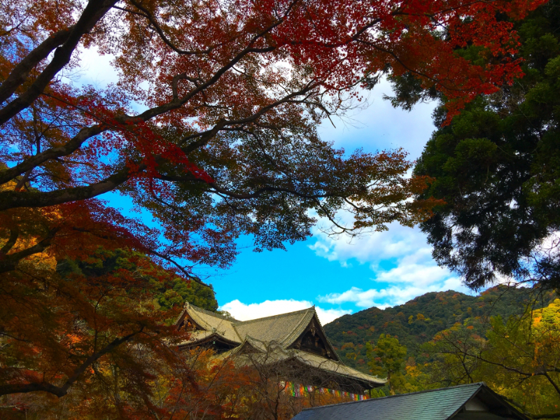 長谷寺THE GATE日本の旅行観光マガジン・観光旅行情報掲載