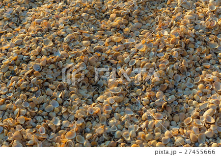 カスピ海の環境問題Ocean Newsletter海洋政策研究所 - 笹川平和財団