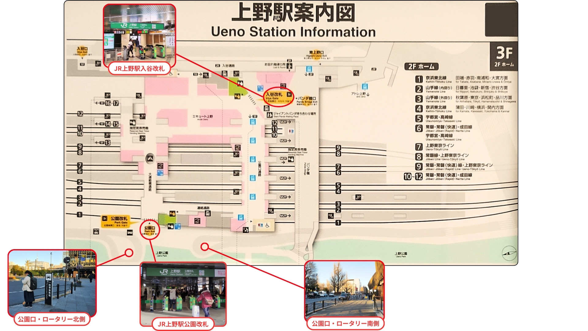 2025年 翼の像 - 出発前に知っておくべきことすべて