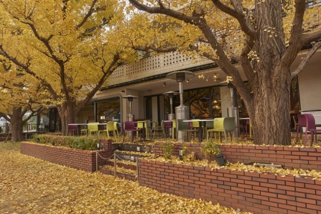 デートでも家族連れでも楽しい都心のオアシス・明治神宮外苑J-TRIP Smart Magazine 東京