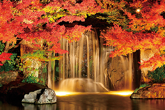 紅葉を見に行こうよう! ささやま写真新聞丹波篠山市