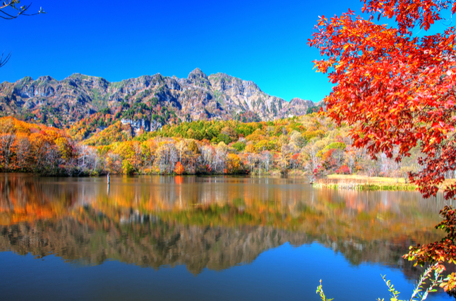 カップル必見！長野県の定番デートスポット10選 - Skima信州-長野県の観光ローカルメディア