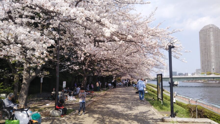 東京スカイツリーと隅田川の橋