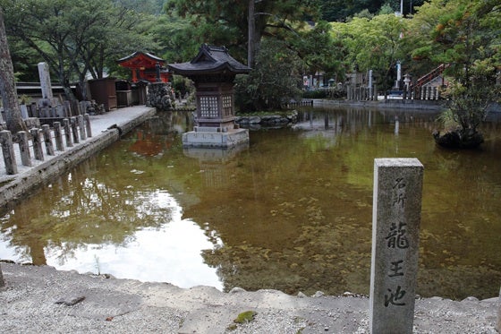 クーポンあり 奈良線 京都府