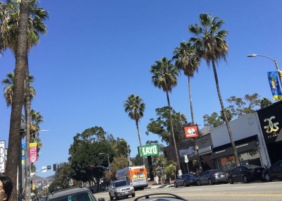 痩身サロン メルローズ 公式