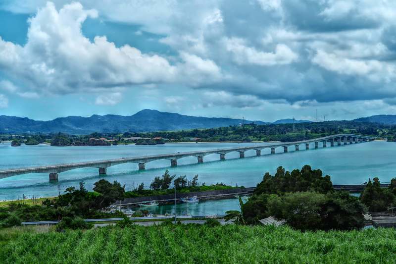 運天森園地展望台古宇利大橋と今帰仁ブルーで蝉と野鳥がコンサート沖縄おすそわけ