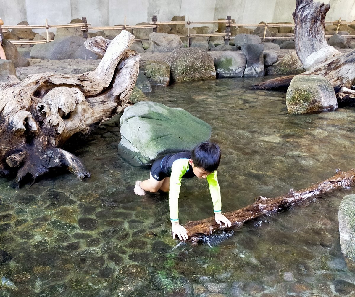 音無親水公園の口コミ一覧子供とお出かけ情報「いこーよ」