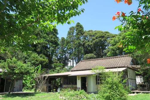 いすみ鉄道 - いすみ市観光協会