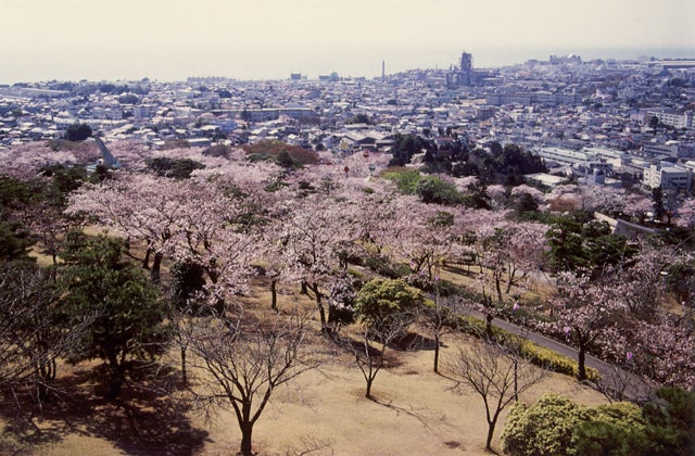 日立市 かみね公園頂上展望台 初日の出茨城県
