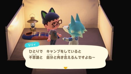 あつ森 キャンプサイト の設置と活用法