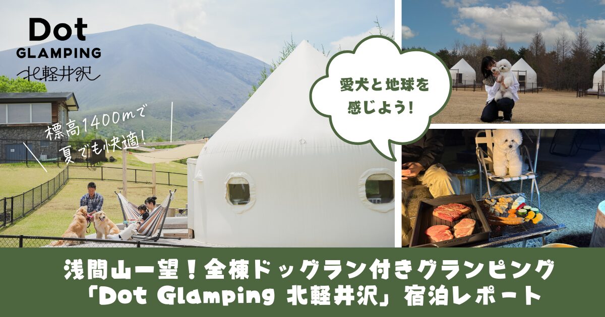 昭和１００年”霊峰の歩み 時代超えて象徴継ぐ 「富士山の日」特集 動く写真特集あり