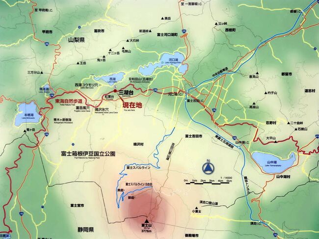 青木ヶ原樹海のハイキングコースを歩いてみたい栗吉