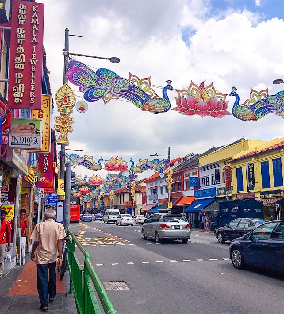 プシュカルってどんな町なの？！ 2018 06 06556人が通う、インドの女子校。貧困の中から自立への一歩を！ 溝内美菜