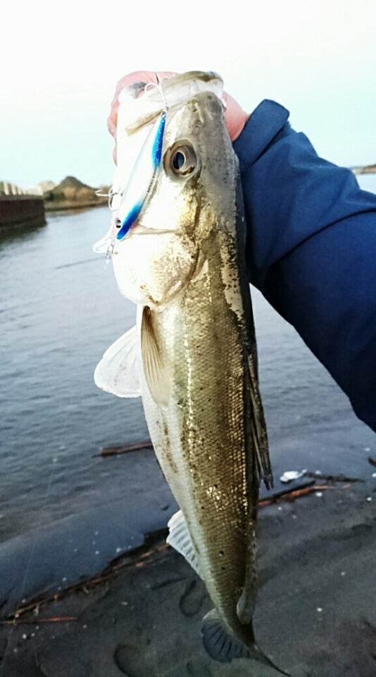 夷隅川河口 いすみがわかこう の釣り場初心者も子供連れも安心！千葉県のおすすめ海釣り場ガイド