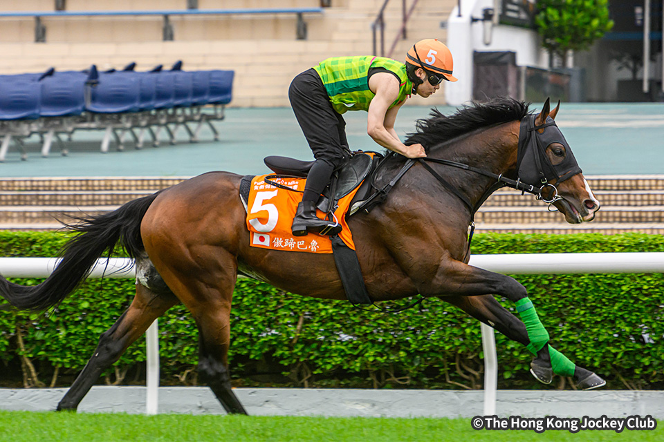 海外で喜ばれる日本のお菓子のお土産の人気おすすめランキングカウナラ