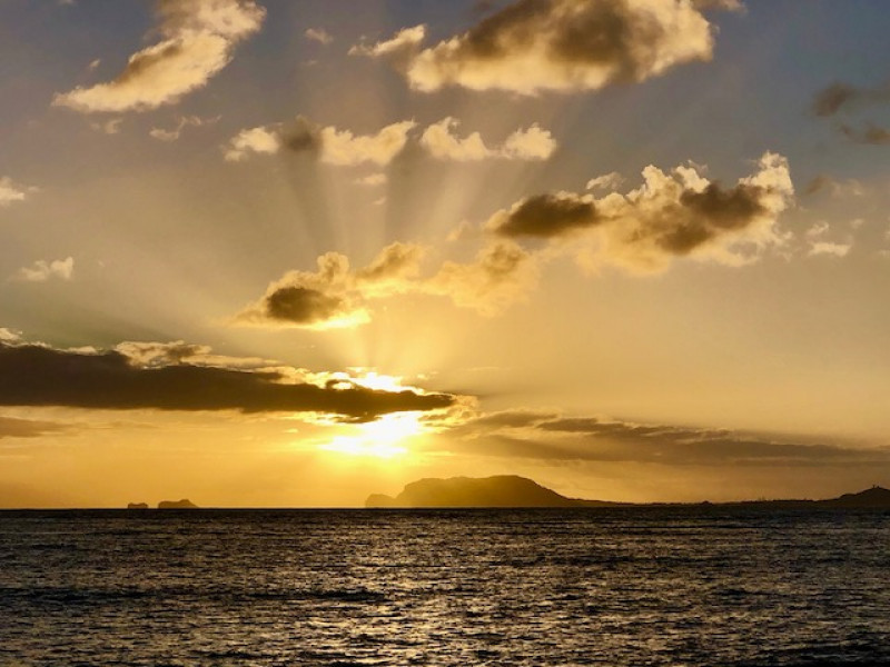 ハワイ語 名前 女の子TikTok