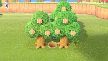 あつ森 フルーツの種類と入手方法こころぐゲーム