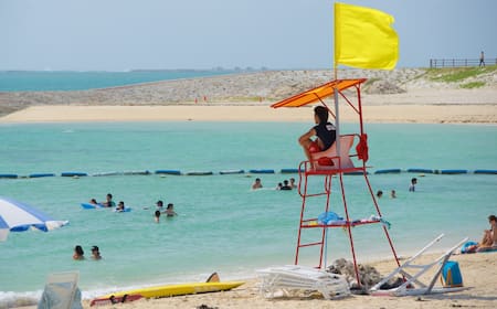 ヘネラル マリアーノ エスコベード国際空港MTYクチコミ・アクセス・営業時間モンテレイ