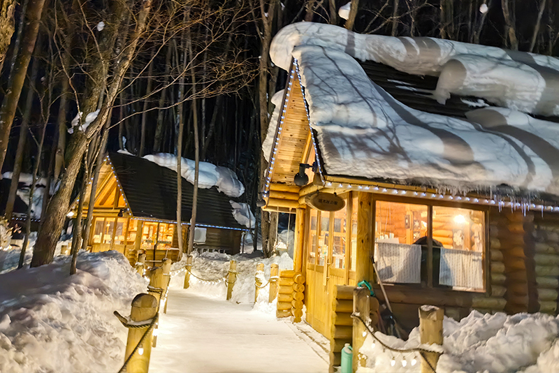 クリスマスツリーの木行きたいならバスツアーTikTok