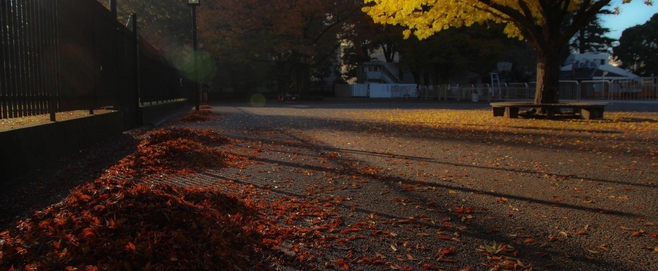 若かりしヒュー・グラント・ルパート・グレイヴス「モーリス 4K」ジェームズ・アイヴォリー監督よりコメント到着 - 映画情報どっとこむ