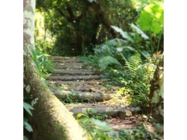 ホロホローの森八重瀬八景 - 沖縄県南部の町の風景