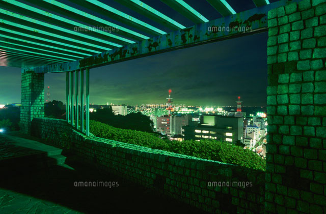 横須賀ウインターイルミネーションの開催についてイベント情報横須賀市 ヴェルニー公園