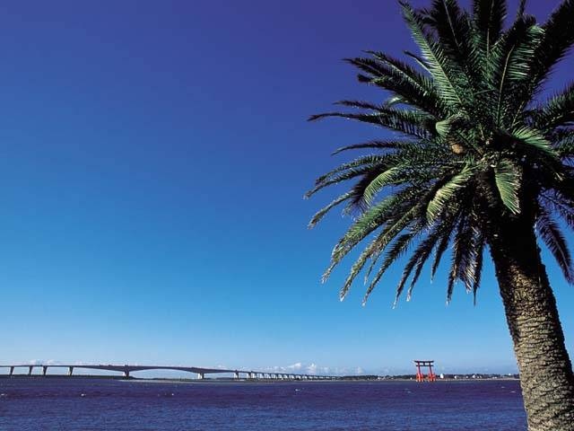 弁天島海浜公園のクチコミ一覧 - じゃらんnet